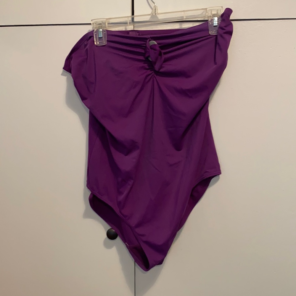 Panache One Piece Swimsuit